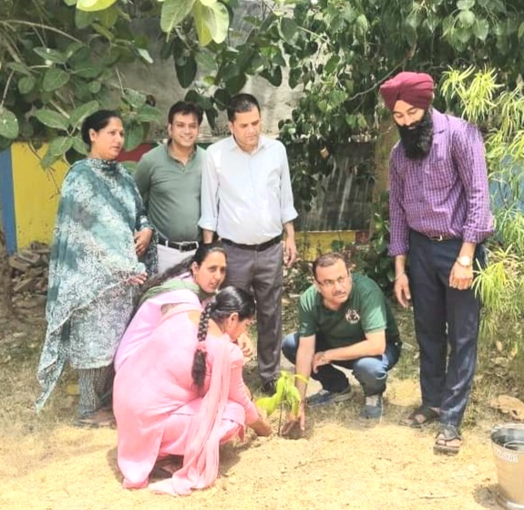 जहानखेल प्राथमिक विद्यालय में विश्व पर्यावरण दिवस मनाया गया